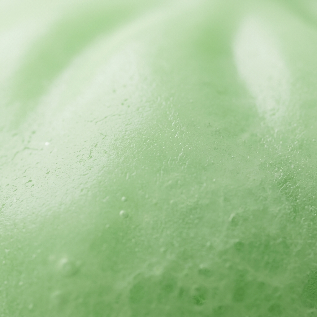 Fresh Green Dumpling Squishy — close-up of the texture
