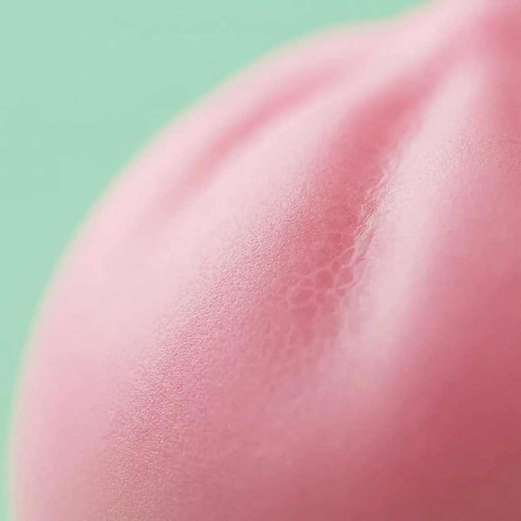 Soft Pink Dumpling Squishy — close-up of the texture