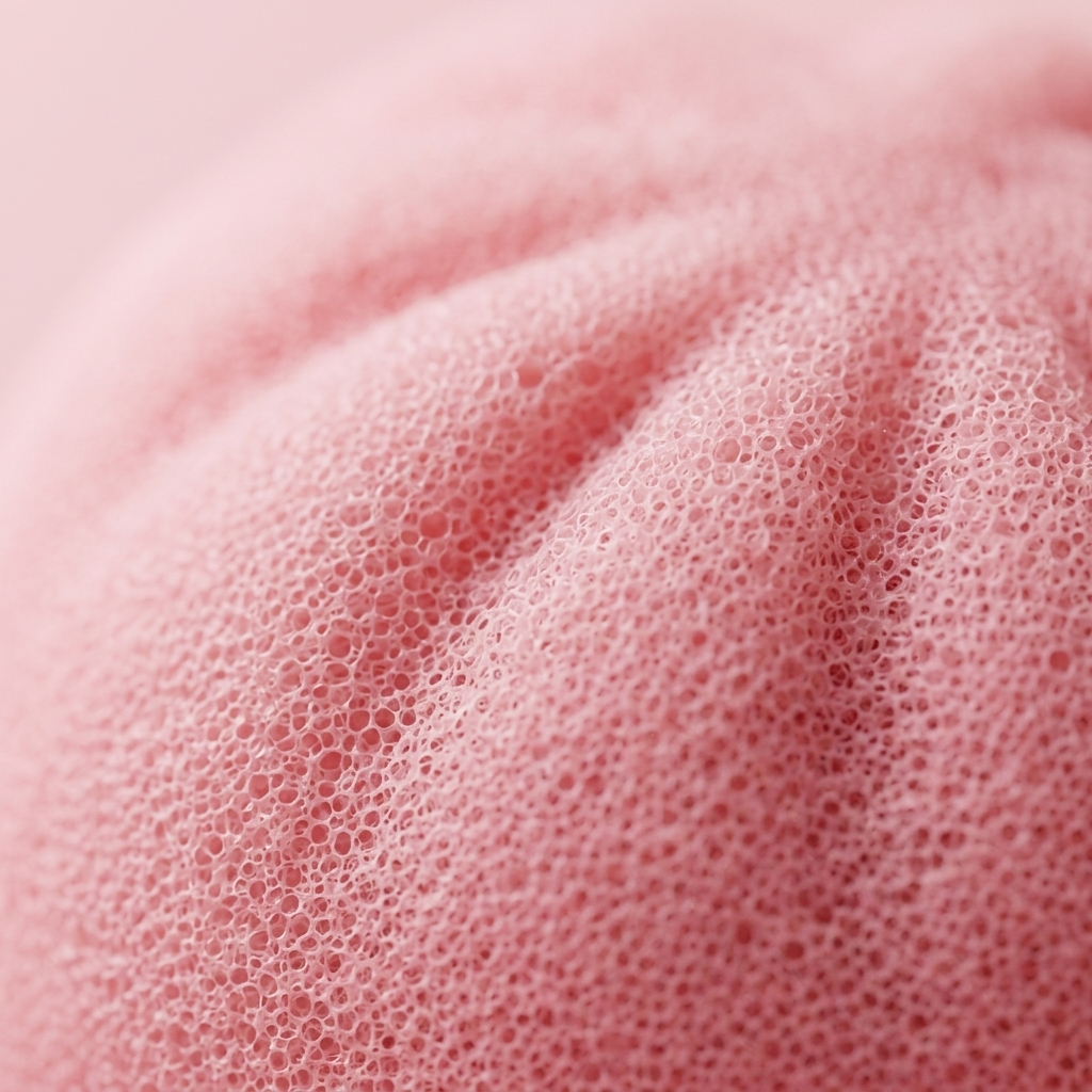 Pink Blossom Squishy Dumpling — close-up of the texture