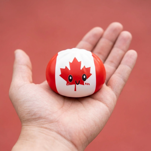 Canada Flag Squishy Dumpling held in hand, actual size